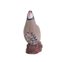 IBB 3D Perdrix bartavelle - Coq