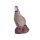 IBB 3D Perdrix bartavelle - Coq