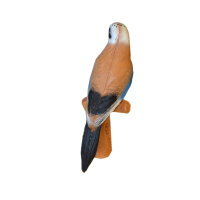 IBB 3D Geai des chênes