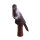 IBB 3D Corneille noire