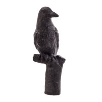 IBB 3D Corbeau freux