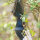 DRAKE ARCHERY ELITE Nightfall - ILF - 58-62 pouces - 24-62 lbs - Arc recurve