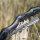DRAKE ARCHERY ELITE Pitchblack - ILF - 58-62 pouces - 24-62 lbs - Arc recurve