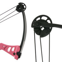 [SPÉCIALE] SET DRAKE Besra - 19-25 lbs - Arc à poulies
