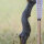 DRAKE ARCHERY ELITE Dust - 60 Zoll - 30-60 lbs - Hybridbogen
