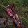 JACKALOPE - Red Beryl Hunter - 60 Pouces - 20-50 lbs - Arcs recurves T/D