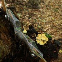 JACKALOPE - Tourmaline Hunter - 60 Pouces - 20-50 lbs - Arcs recurves T/D