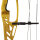 HOYT Invicta 40 DCX - Arc à poulies - 60-70 lbs - Main droite | 27.5 - 29.0 pouces - Cam#2 - Jet Black