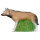 IBB 3D Loup-garou