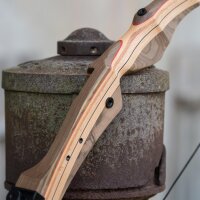 [TIP] DRAKE Wild Honey Performance - 64 ou 68 pouces - 18-40 lbs - Arcs recurves T/D