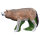 IBB 3D Loup européen