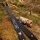 Branches | JACKALOPE Zircon - Carbon/Foam - ILF - 25-50 lbs