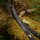 Branches | JACKALOPE Zircon - Carbon/Foam - ILF - 25-50 lbs