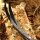 Branches | JACKALOPE Zircon - Foam - ILF - 24-44 lbs
