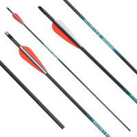 41-55 lbs | Carbonpfeil | SPHERE Hunter Pro - mit Vanes | Spine 400 | 32 Zoll