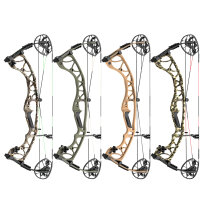 HOYT Torrex XT - 40-70 lbs - Arc %E0 poulies