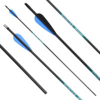 Flèche en carbone | [Prix conseillé] SPHERE Hunter Pro - avec vanes - seulement 26-55 lbs