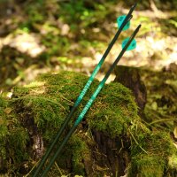 [BEST-SELLER] Flèche complète | SPHERE Hunter Pro - Carbone