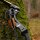 DRAKE Steam - 64 pouces - 30-60 lbs - Arcs recurves T/D