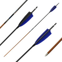 36-40 lbs | [Recommandation] Flèche en carbone |...