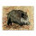 Blason | Image danimal - Sanglier