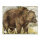 Blason | Image danimal - Ours brun