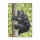 Blason | Image danimal - Ours noir
