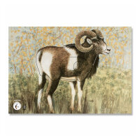 Blason | Image danimal - mouflon