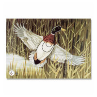 Blason | Image danimal - Canard