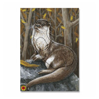 Blason | Image danimal - loutre