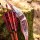 DRAKE ARCHERY ELITE Coral - 54-58 Zoll - 20-50 lbs - Hybridbogen