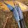 DRAKE ARCHERY ELITE Marlin - 54-58 Zoll - 20-50 lbs - Hybridbogen