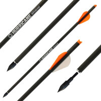 Flèches darbalètes de chasse | SPHERE Hurricane - Bodkin - Carbone - 16-22 pouces