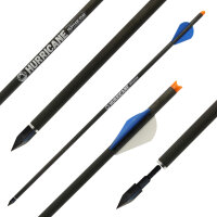 Jagdbolzen | SPHERE Hurricane - Bodkin - Carbon - 20 Zoll | Spitze: 100gr