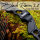 [SPÉCIALE] DRAKE Black Raven 2.0 - 56-60 pouces - 30-60 lbs - Arcs recurves T/D