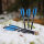 Flèches darbalète en carbone | X-BOW FMA - 6,5 pouces - pack de 6