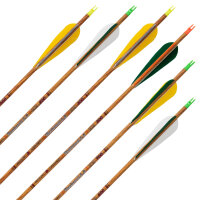 Flèche complète | SKYLON Bentwood - Carbone...