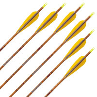 Flèche complète | SKYLON Bentwood - Carbone...