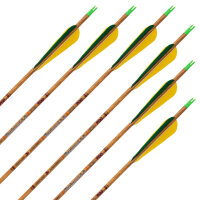 Flèche complète | SKYLON Bentwood - Carbone - emplumées en usine - paquet de 12