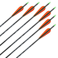 Komplettpfeil | SKYLON Frontier - Carbon - ab Werk befiedert - 12er Pack