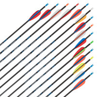 Flèche complète | SKYLON Radius - carbone -...
