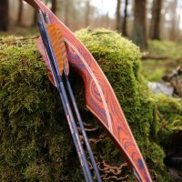 DRAKE ARCHERY ELITE Ablaze - 62 pouces - 30-50 lbs - Arc hybride