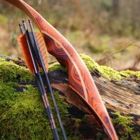 DRAKE ARCHERY ELITE Ablaze - 62 pouces - 30-50 lbs - Arc hybride