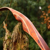 DRAKE ARCHERY ELITE Ablaze - 62 pouces - 30-50 lbs - Arc hybride