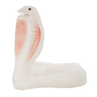 IBB 3D Cobra albinos