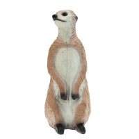 FRANZBOGEN suricate