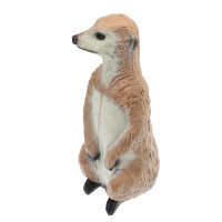 FRANZBOGEN Erdmännchen