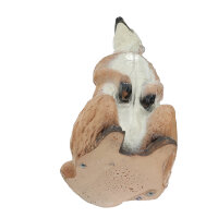 FRANZBOGEN Erdmännchen