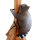 LEITOLD Raton laveur - grimpant - avec ceinture