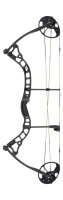 DIAMOND Arc à poulies Infinite 305 (7-70lbs)